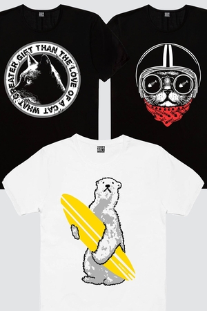 Rock & Roll - Dairede Kedi Kafası, Kasklı Kedi, Kutup Sörfü Kadın 3'lü Eko Paket T-shirt
